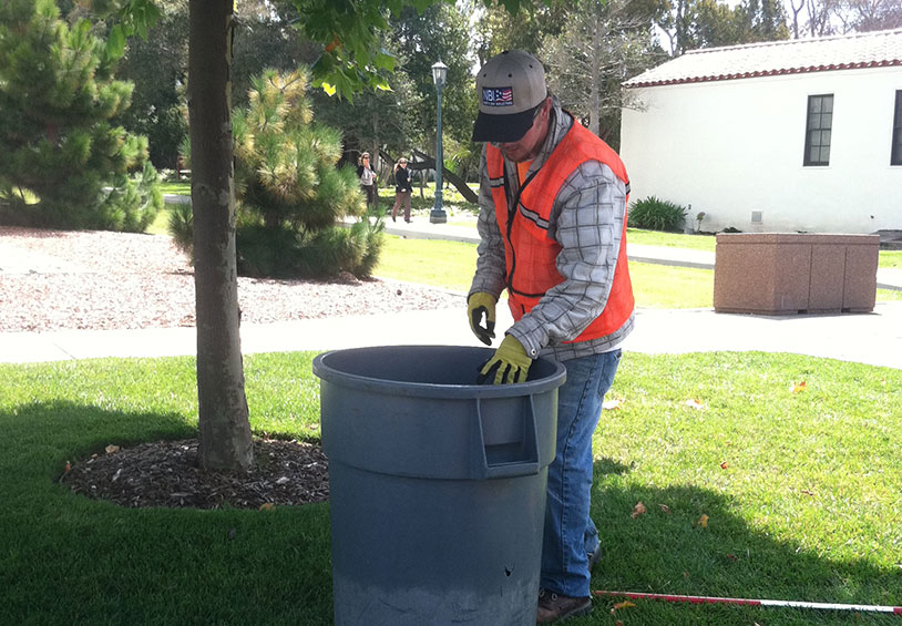 Landscape Maintenance