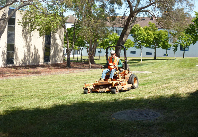 Landscape Maintenance